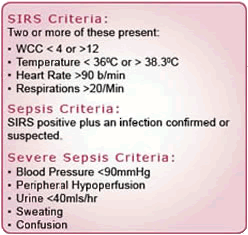 Image of SIRS and SEPSIS criteria