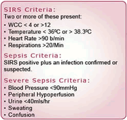 Sepsis Chart Audit Tool